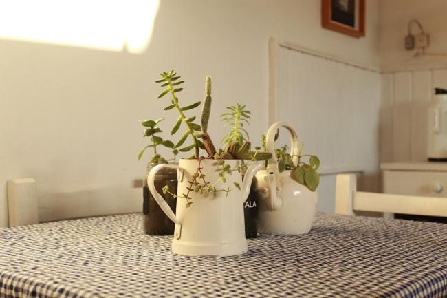 Alma De Proa Bed & Breakfast San Antonio de Areco Exteriör bild